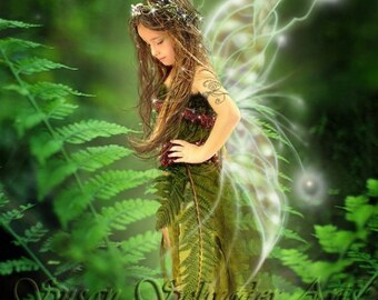 Resting in the Ferns by Susan Schroder Fantasy Fairy Art Print