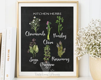 Basil Herbs kitchen print Basil wall art decor poster herbs print kitchen decor printable garden plants culinary print art 184