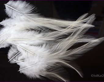 Bird Feathers | Etsy