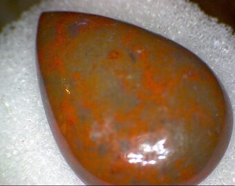Neat Red Dinosaur Bone Freeform Cabochon
