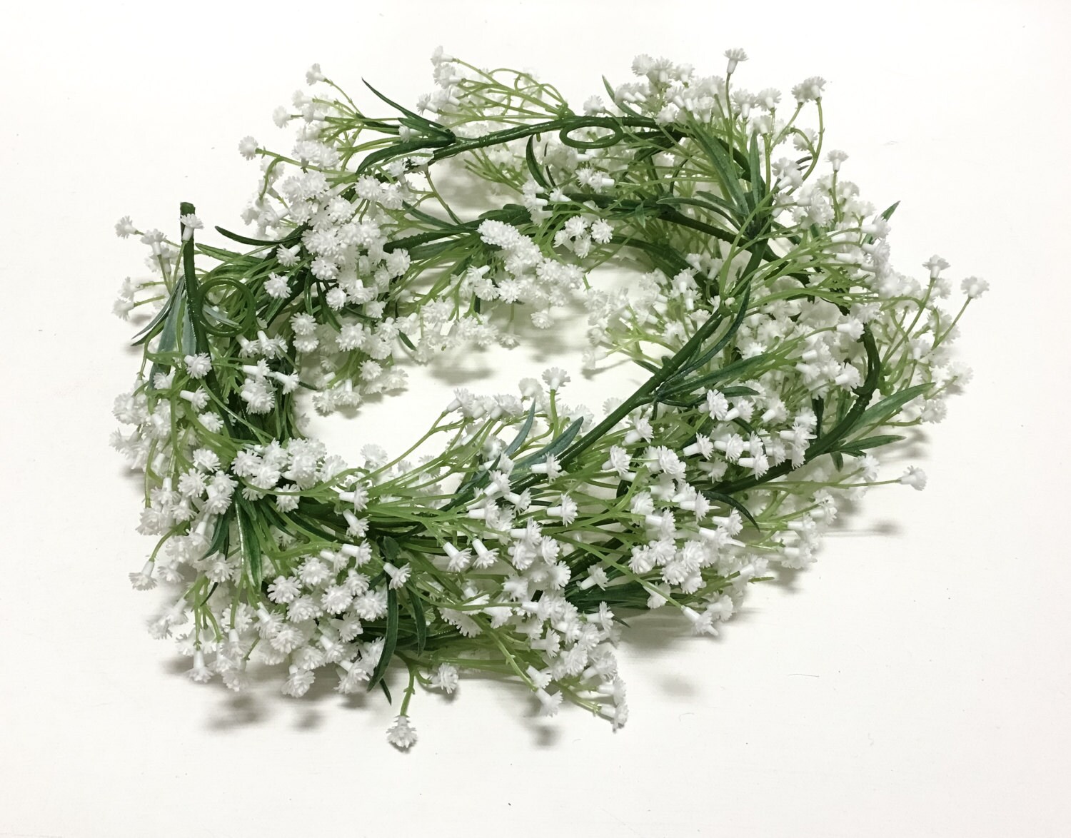 Gypsophila Knuddel