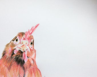 Hen(chicken) original pencil drawing