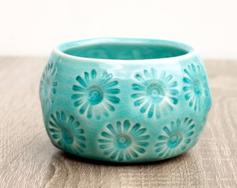 aqua succulent container