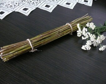 Yarrow stalks, I Ching, dried yarrow, yarrow sticks.