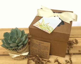 Single Succulent Gift Box-Rustic Succulent Favor-Thank You Gift-Baby Shower-Bridesmaid Gift-Bridal Shower Favor-Wedding Favor-Birthday Gift