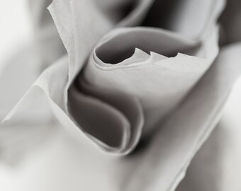 Light Gray Tissue Paper 24 Sheets | Bulk Light Grey Tissue Paper | Cool Gray Tissue Sheets | Light Gray | Matte Silver Tissue Paper