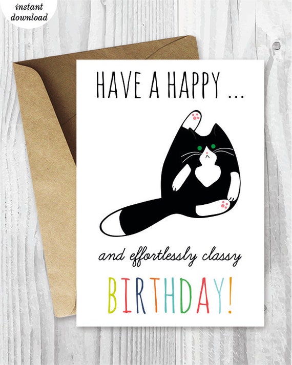 Happy Birthday, Bad Kitty PDF Free Download