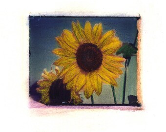 Arlene's Sunflower - Archival Print of an Original Polaroid Transfer, Signed Limited Edition 8x10 Matted
