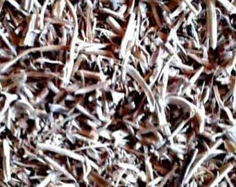 Stinging Nettle Root - Certified Organic