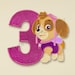 SALE! Paw Patrol Skye Third birthday applique embroidery design, Paw Patrol Machine Embroidery Designs, Embroidery designs baby, #079