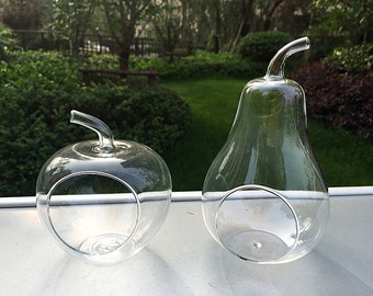 Glühbirne hängen Terrarium / / Tillandsia Pflanzer //hanging