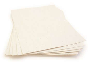 10 Cream Sheets of Wildflower Plantable Seed Paper - 8.5 x 11" - 85lb - Handmade - Crafting