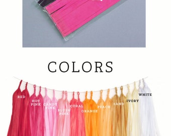 Tassel Garland Kit - DIY Tissue Tassel Garland Kit - Custom Colors - choose FOUR colors (EB3086)