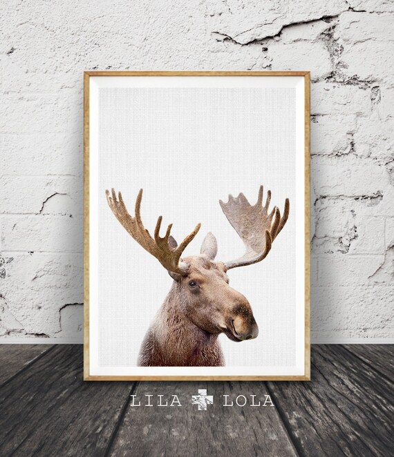 Moose Head Print Woodlands Decor Nursery Printable Animal
