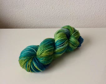 Hand dyed Merino single yarn