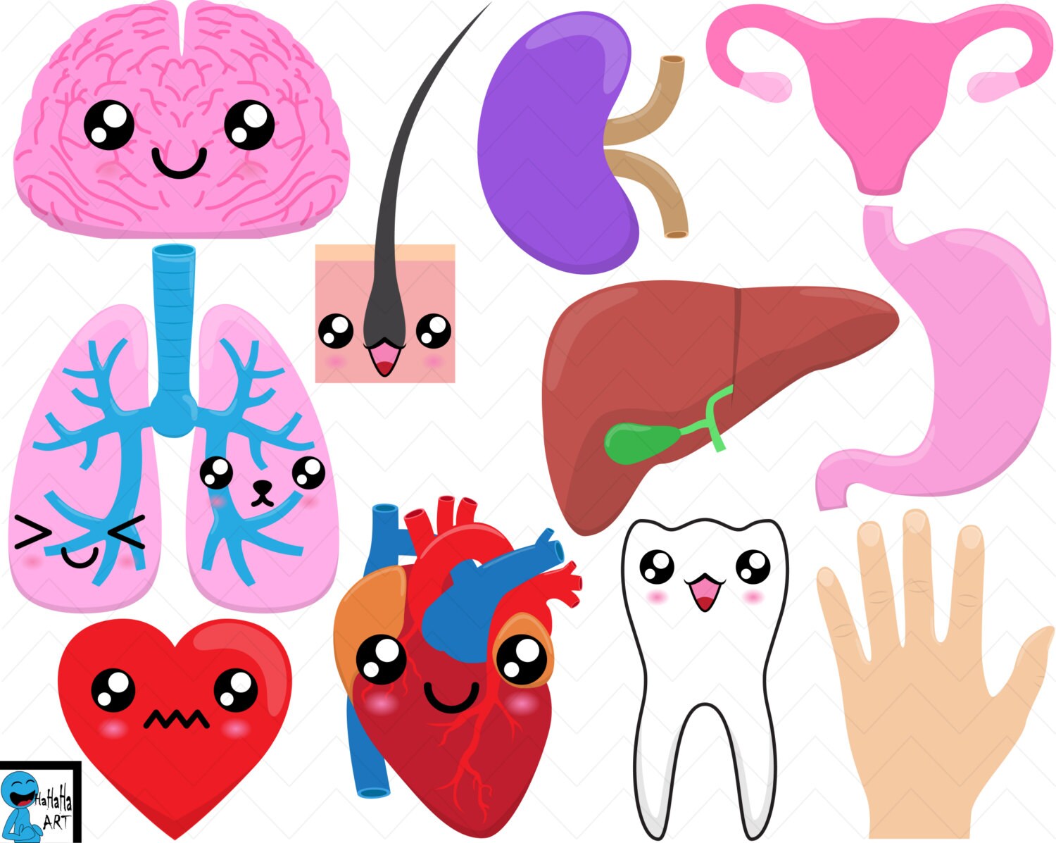 Kawaii Organs Digital Clipart Clip Art Graphics Personal