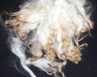 Karakul Sheep Wool Locks, Spinning, Felting Fiber, Doll Hair, Doll Wig, Santa Beards, in Cream White with Strawberry Blond Highlights 1 oz.