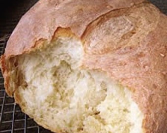 Authentic San Francisco Extra Sour Sourdough Starter