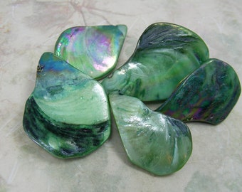 Mother of Pearl (Dyed/Coated) Green Iridescent 28x17mm-38x26mm Top-Drilled Flat Teardrop Beads
