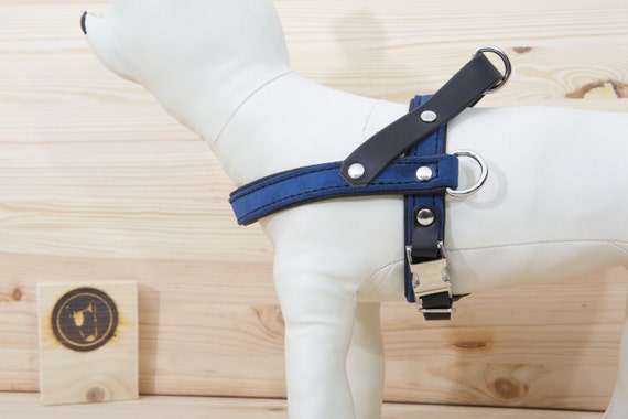 Blue Leather Dog Harness, Comfort Dog Harness, Adjustable Dog Harness for Small and Large Dogs, Fashion Dog Harness, Easy Walk Dog Harness