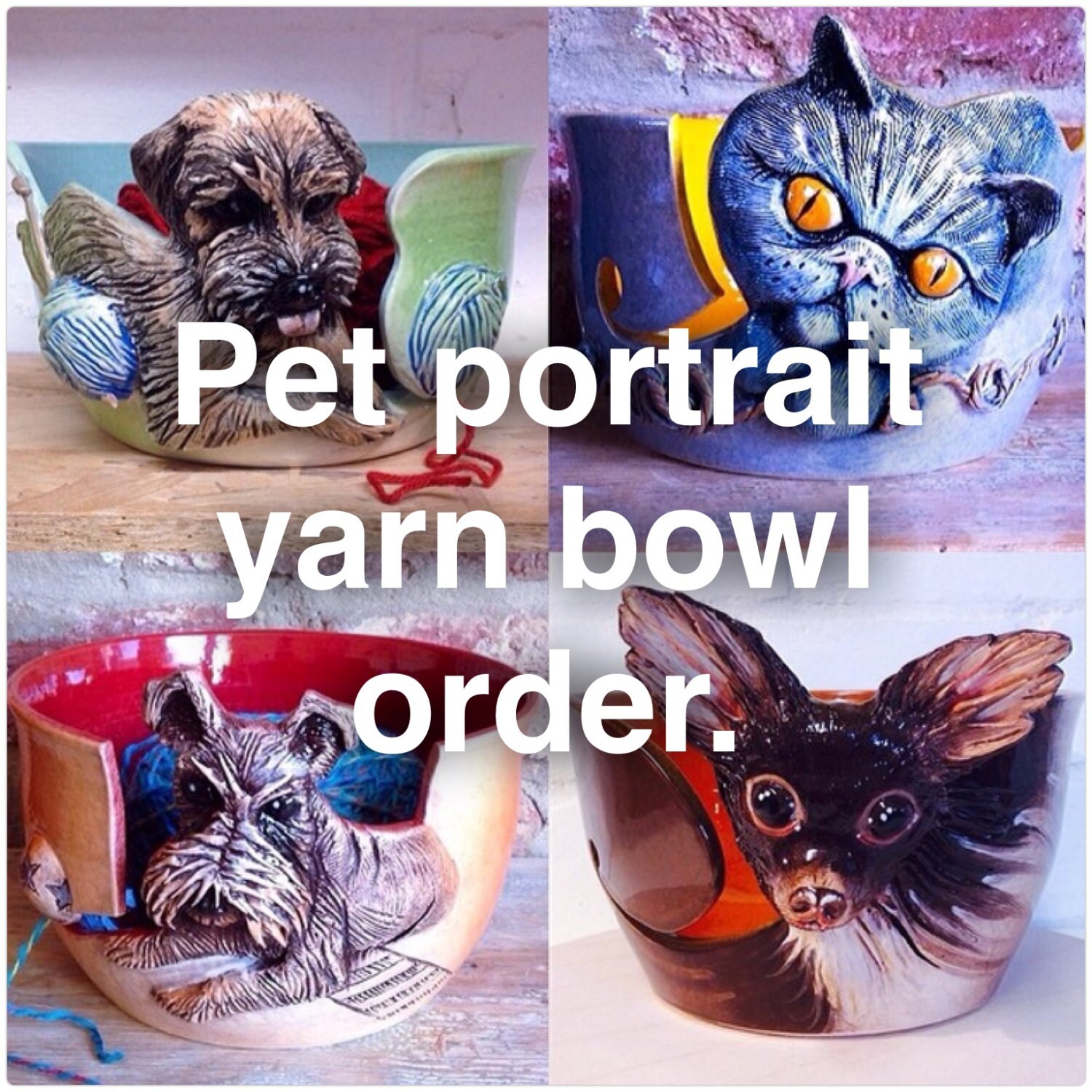 Pet portrait yarn bowl.