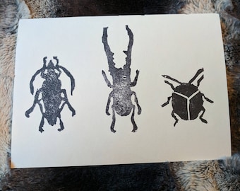 Primitive Beetle Print