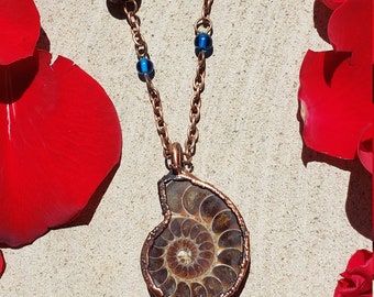Electroformed Nautilus Shell