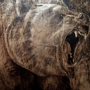 Bear Pyrography