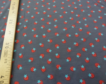 Grey Jersey Strawberry 150 cm, sold by the yard