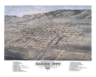 Beautifully Restored "Birds Eye View" Map Of Carson City Nevada, 1875, Print. (Historical Maps, Antique Reprint, Wall Decor)