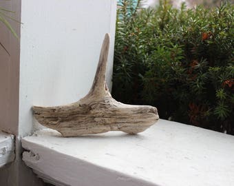 Unique Driftwood Piece for Home Decor and Art Projects , Drift wood Art