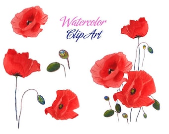 SALE Poppies clip art the poppy build poppy day remembrance day flower red flowers red veterans day fields watercolor