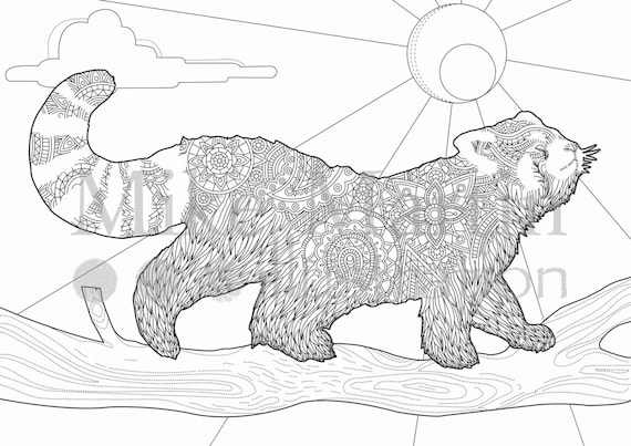 Printable Red Panda coloring page Instant download adult