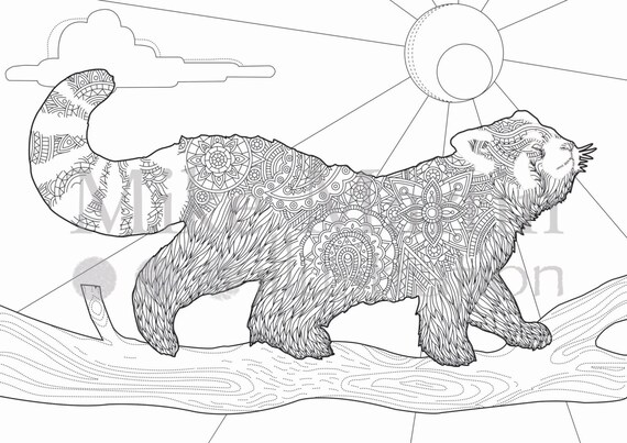 Printable Red Panda coloring page Instant download adult