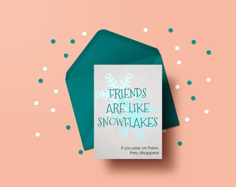 Friends are like Snowflakes...