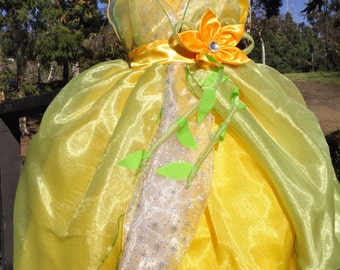 Princess and the Frog costume, Princess Tiana Dress, Costume Halloween costume, Halloween costume, Princess Birthday dress Princess dress