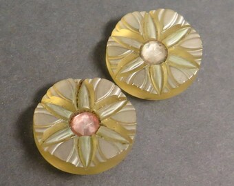Vintage Pair of Chunky Celluloid Buttons - Carved, Paste Centers, Opalescent Finish