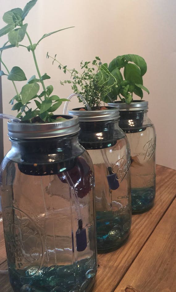 indoor aquaponics kit/mason jar aquaponics system/indoor herb