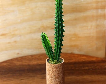 Cactus in Cork - Miniature Modern decor, 1/6, 1/12 or 1/16 scale