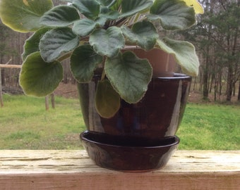 Flower Pot- FREE SHIPPING!
