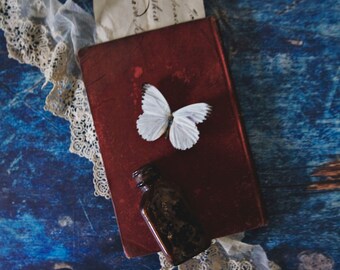 Red Book ~ 8x10 Photo Print