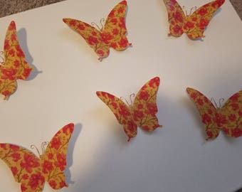 Beauty in the Butterflies