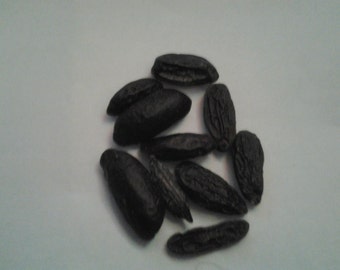 Tonka Beans