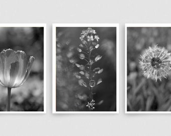 Black and white nature photography prints, dark grey wall art set, grey bathroom decor modern print set 3 botanical pictures, vertical art