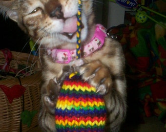 Knit Catnip Mouse Cat Toy with Bright Rainbow Stripes