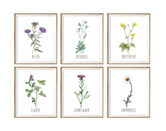 Botanical chart, botanical print, flower art print, floral botanical art, floral wall art, set of 6 flower prints, set of 6 botanical prints