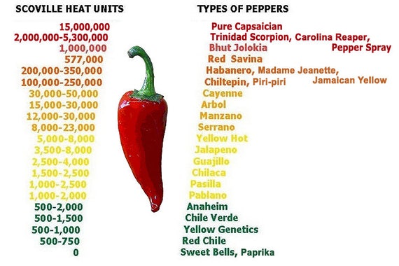 The new Guinness Records World’s Hottest Pepper - CAROLINA REAPER (15 ...