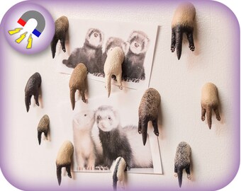Hand Painted Ferret Magnet | 3D Printed | Custom Orders Available