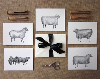 Sheep Lamb Note Cards Set of 10 with Matching Envelopes