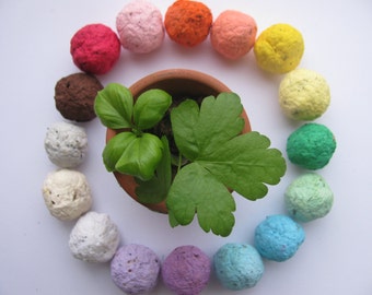 NEW---50 HERB Seed Bombs